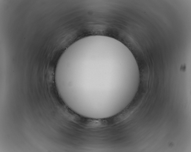 X0000091920083200709261651