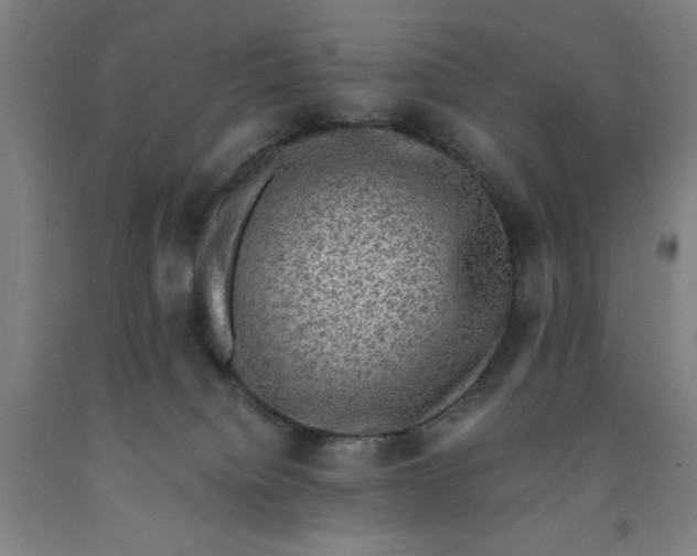 X0000091920084200709261651