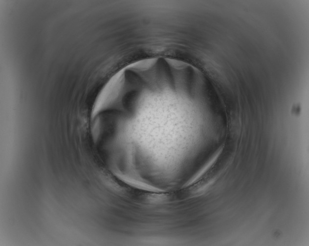 X0000091920085200709261651