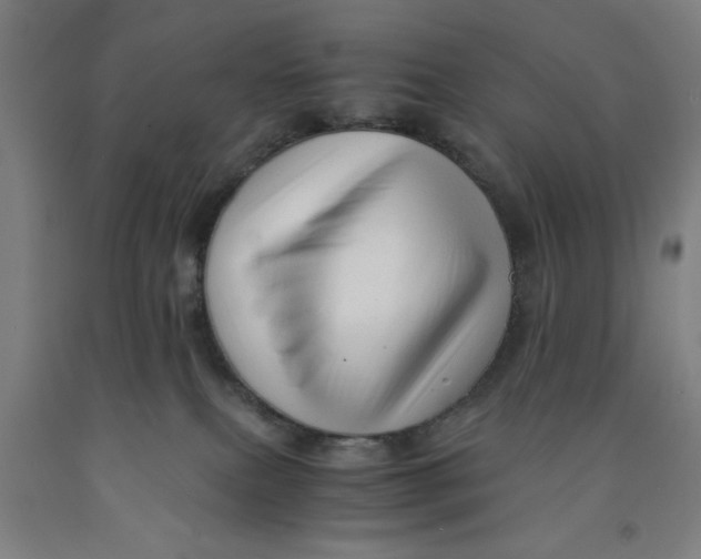 X0000091920087200709261651