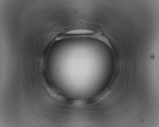X0000091920088200709261651