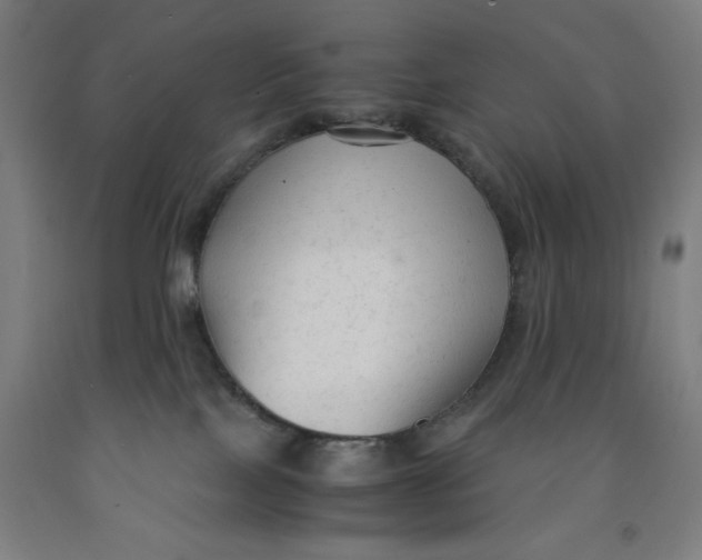 X0000091920089200709261651