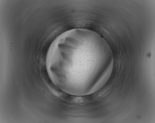 X0000091920091200709261651