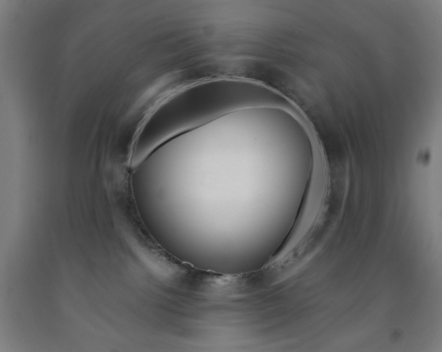 X0000091920092200709261651