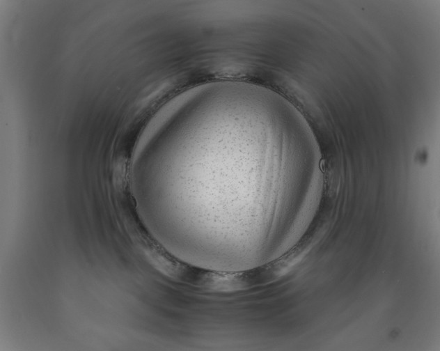 X0000091920093200709261651