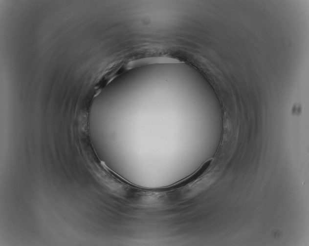 X0000091920096200709261652