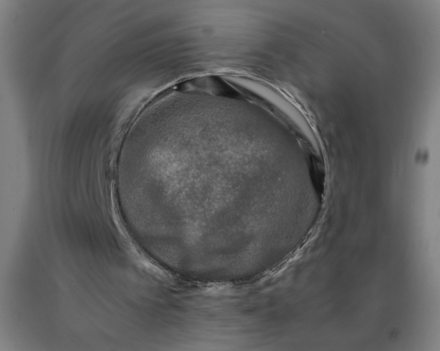 X0000091920097200709261651