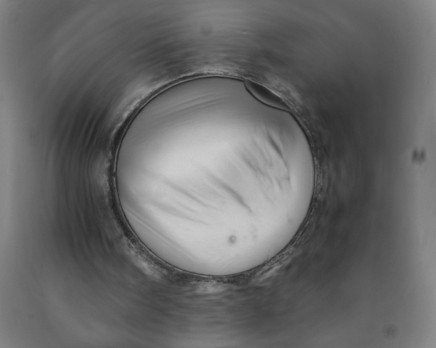 X0000091920098200709261651