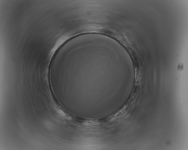 X0000091920099200709261651