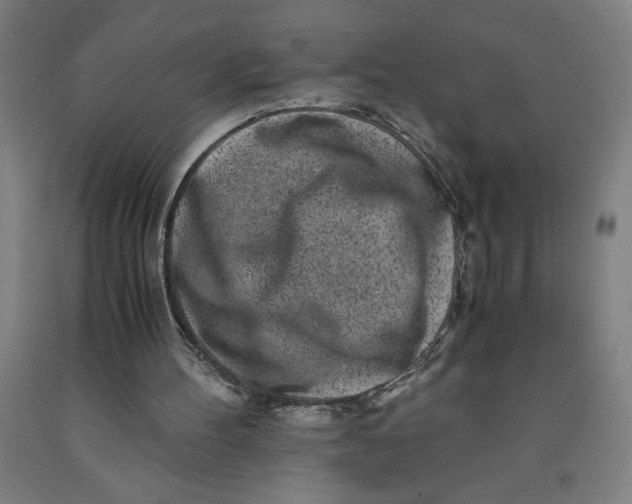 X0000091920100200709261651