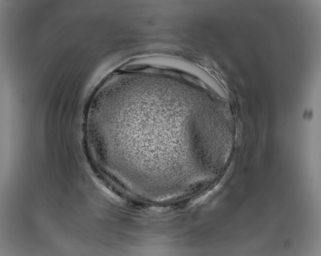 X0000091920101200709261651
