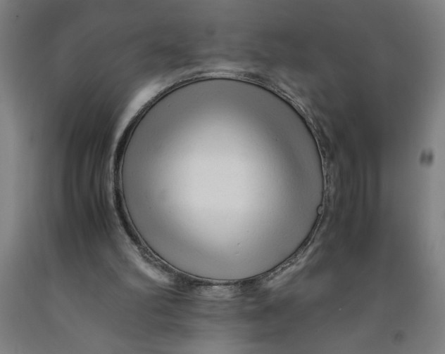 X0000091920102200709261651