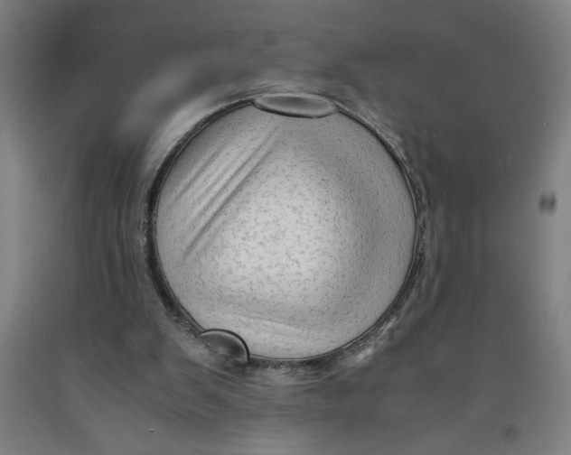 X0000091920103200709261651