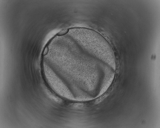 X0000091920104200709261651