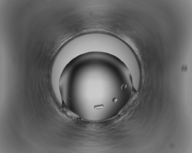 X0000091920105200709261651