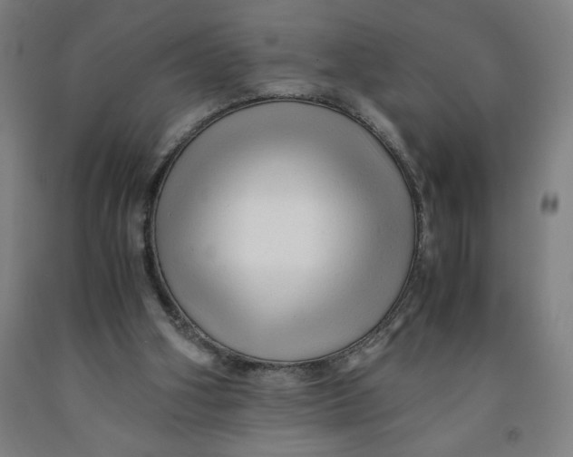 X0000091920106200709261651