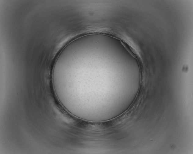 X0000091920107200709261651