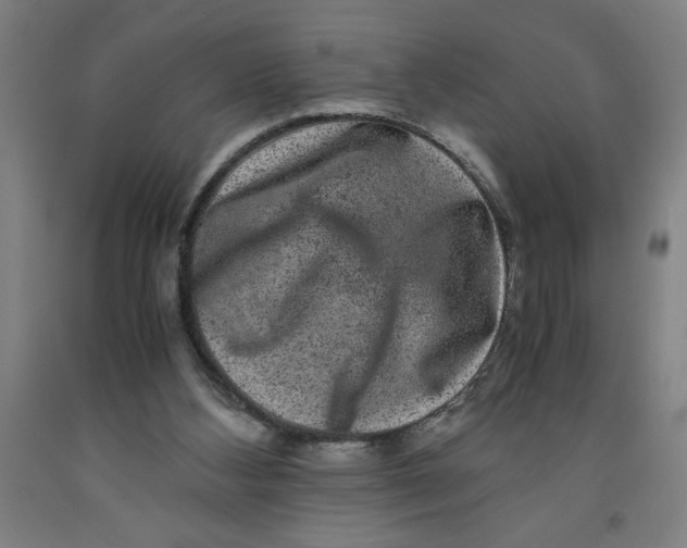 X0000091920108200709261651