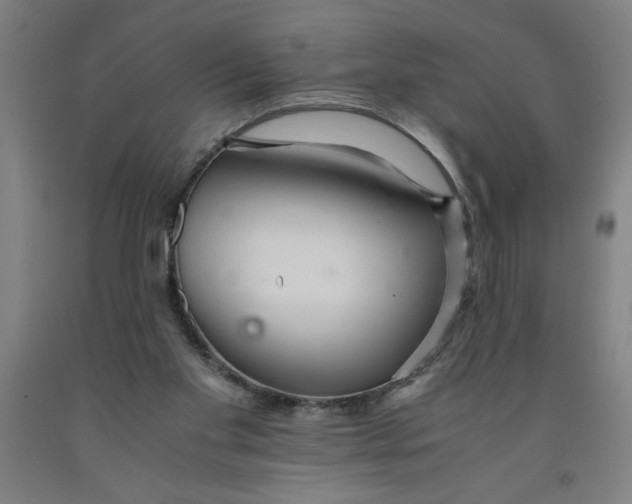 X0000091920109200709261651