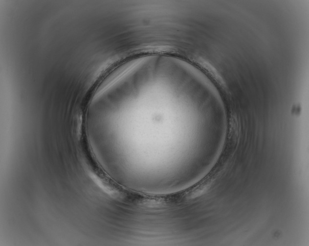 X0000091920110200709261651