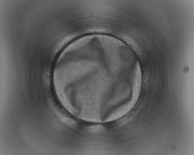 X0000091920112200709261651