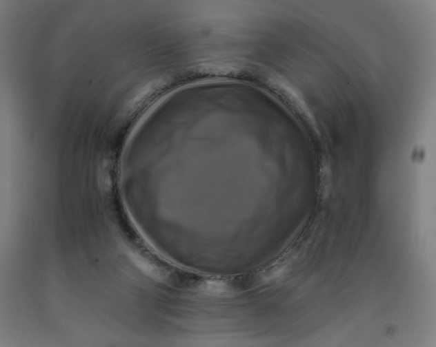 X0000091920114200709261651