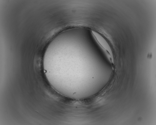 X0000091920115200709261651