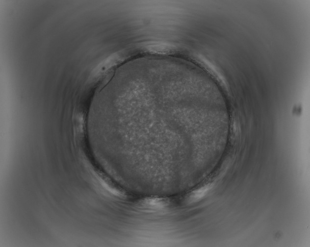 X0000091920117200709261650