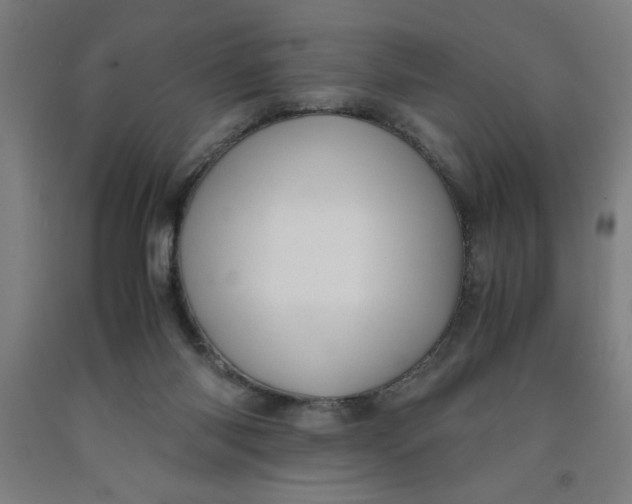 X0000091920118200709261650