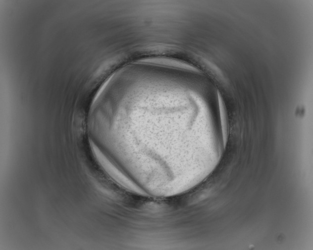 X0000091920119200709261650