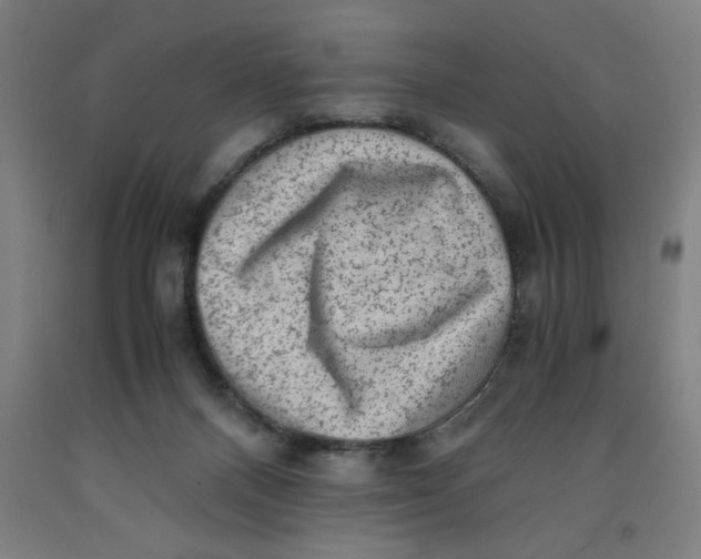 X0000091920120200709261650