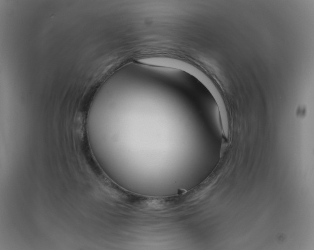 X0000091920121200709261650