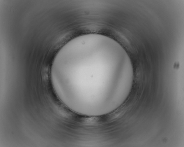 X0000091920122200709261650