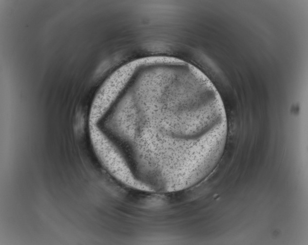 X0000091920124200709261650