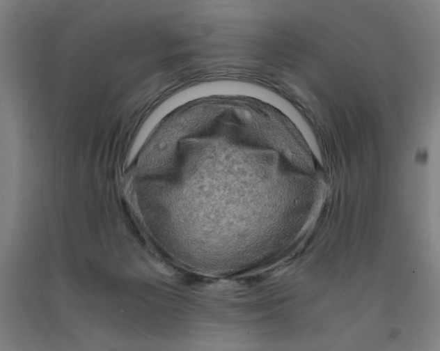 X0000091920125200709261650