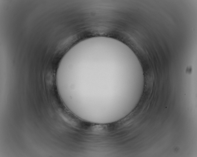 X0000091920126200709261650