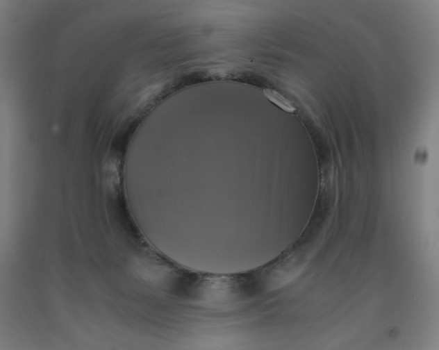X0000091920127200709261650