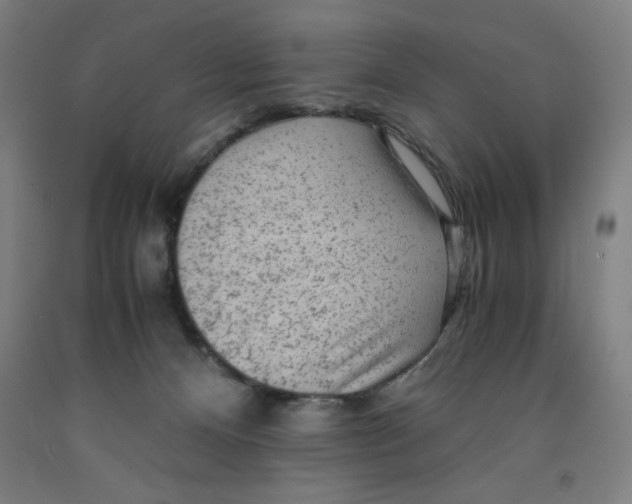 X0000091920128200709261650