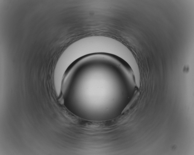 X0000091920129200709261650