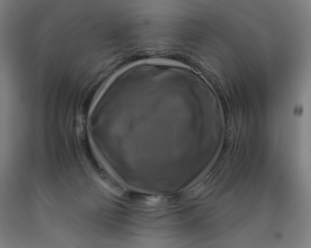 X0000091920130200709261650