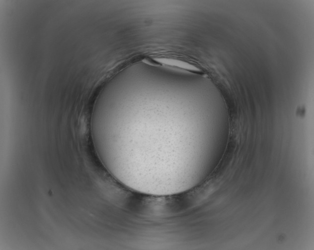 X0000091920131200709261650