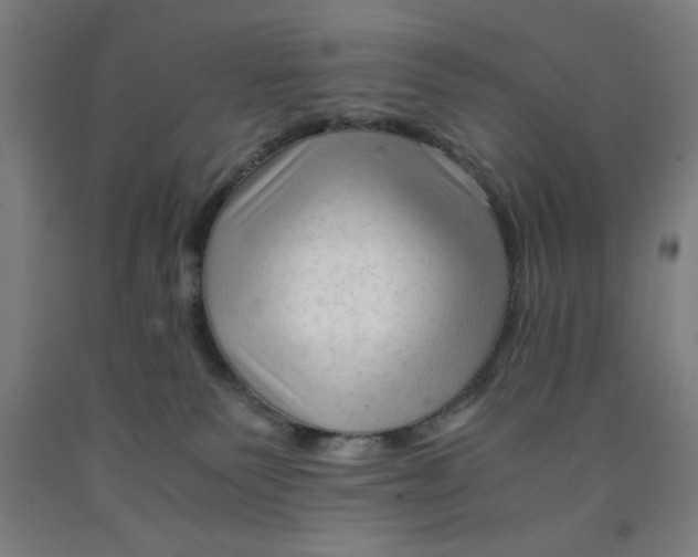 X0000091920135200709261650