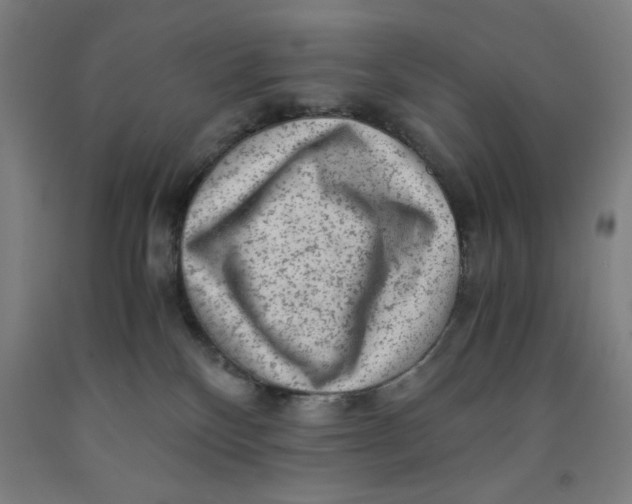 X0000091920136200709261650