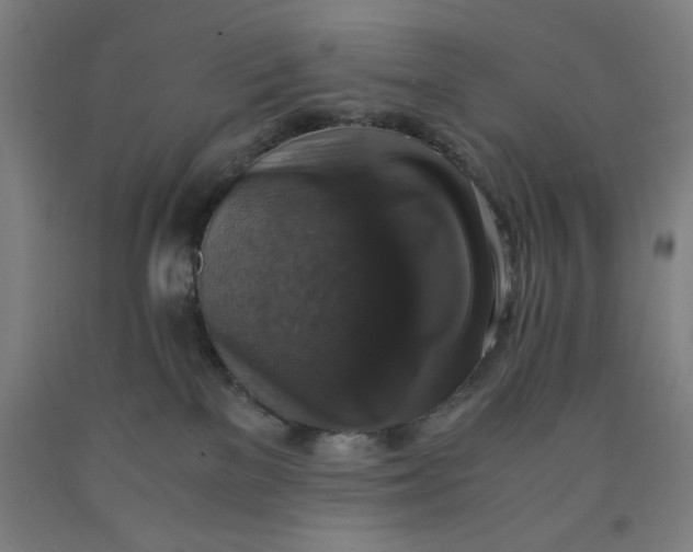 X0000091920137200709261650