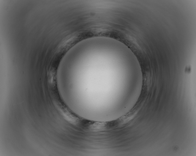 X0000091920138200709261650