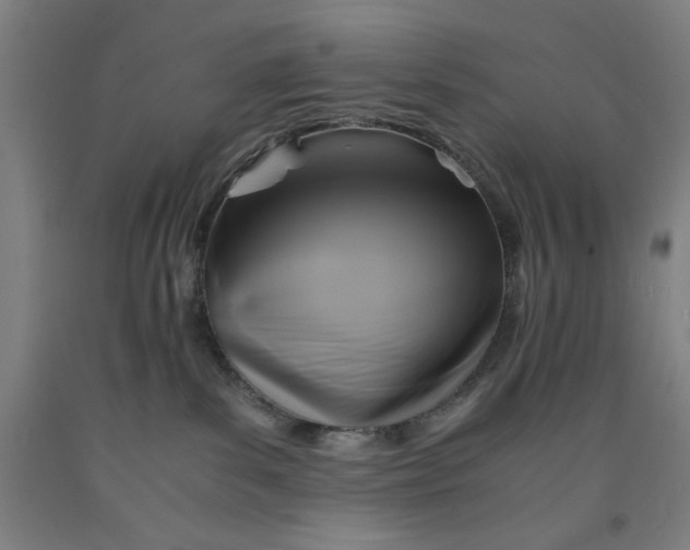 X0000091920139200709261650