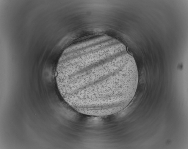 X0000091920140200709261650