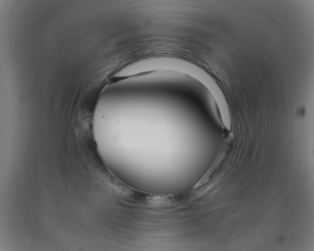 X0000091920141200709261650