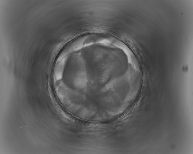 X0000091920145200709261650