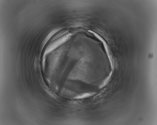 X0000091920147200709261650